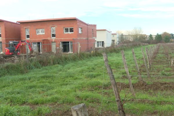 Entre les premières maisons de ce lotissement de Bassens et les rangs de vignes, il n'y a que quelques mètres. 