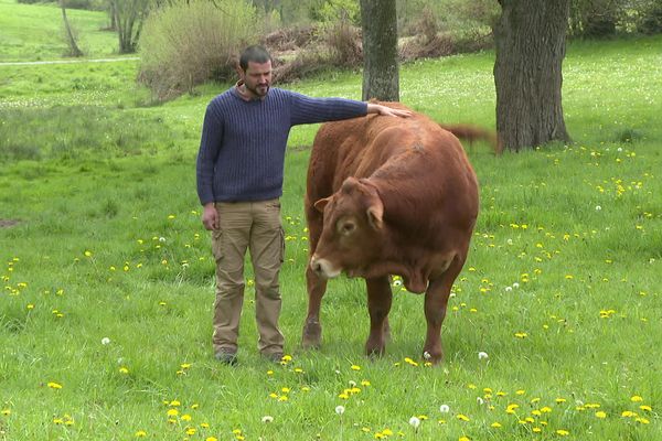 L'éleveur Anthony Tournier compte présenter son veau appelé "Tégro". 
Des professionnels de l’élevage et du monde agricole venus de toute la France se rassemblent, mais pas seulement.  De nombreux éleveurs étrangers viennent partager une passion commune. En tout, plus de 30 000 personnes sont attendues.