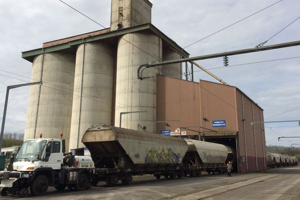 A La Crèche (79), des tonnes de céréales ont été bloquées en raison de la grève à la SNCF.