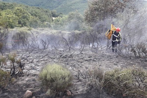 Un incendie a ravagé 3000 m2 de broussailles, lundi soir, à la frontière entre l'Aveyron et le Gard.