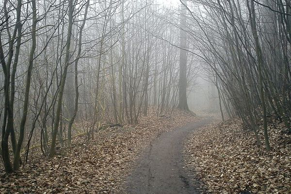 Un DIMANCHE gris et froid...