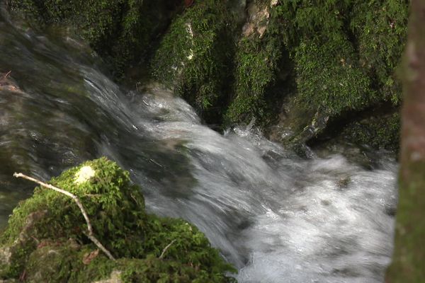 Premier bilan du plan rivières karstiques en juin 2023