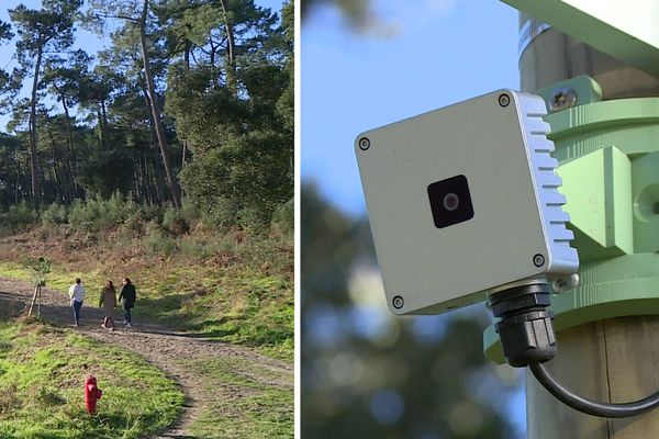 Ces appareils captent des images notamment sur la fréquentation de la forêt, sans les enregistrer.