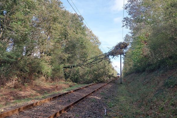 un arbre tombé sur la ligne SNCF La Roche sur Yon Les Sables d'Olonne après la tempête Ciaran