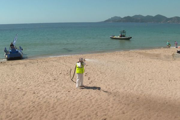 La plage est désinfectée avec un mélange d'eau de mer et d’eau oxygénée diluée.