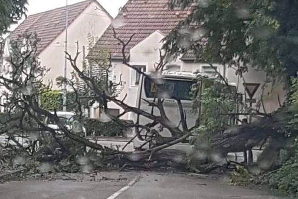 Le maire de Saverne a publié une photo de l'accident sur sa page Facebook