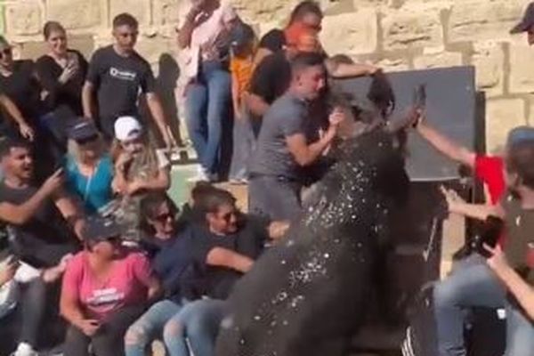 Le taureau a bondi dans les gradins à la surprise des spectateurs qui tentent de le maîtriser.