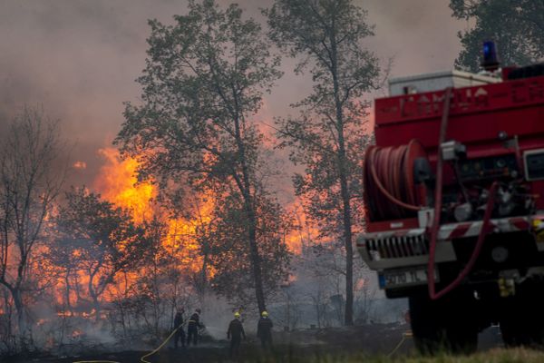 Les sapeurs-pompiers luttent contre les incendies dans le sud de la Charente, ici à Nonac où les flammes ont détruit 50 hectares de forêt, sur un total de 400 détruits, selon un premier bilan, vendredi 16 septembre 2022.