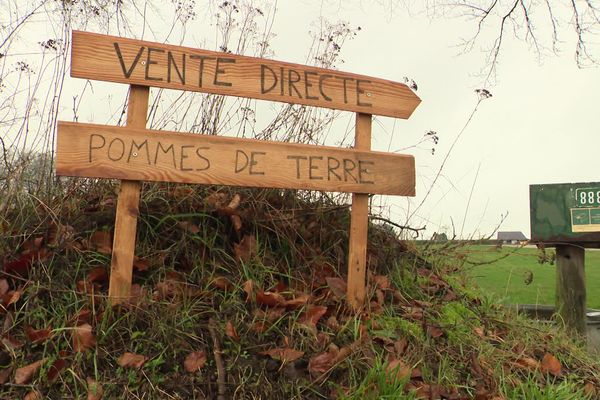 La vente directe de pommes de terre se trouve sur l'exploitation Tesson et fils dans le pays de Caux.