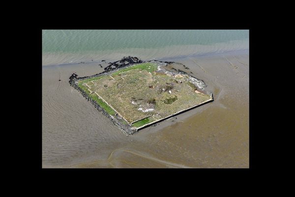 L'île Saint-Nicolas, sentinelle de la Loire