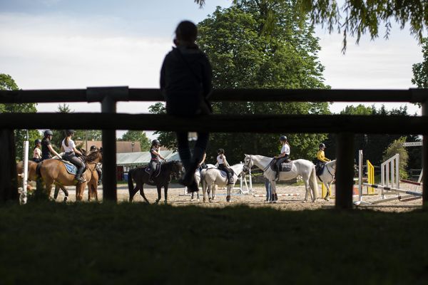 Les centres équestres et poney clubs voient dans la baisse de la TVA un nouvel horizon qui se dessine pour leur activité. De quoi effacer un peu l'impact de l'inflation.