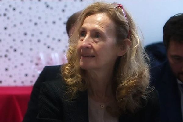 Nicole Belloubet, ministre de la Justice, est en Côte-d'Or ce vendredi 15 mars 2019 pour parler du TIG.