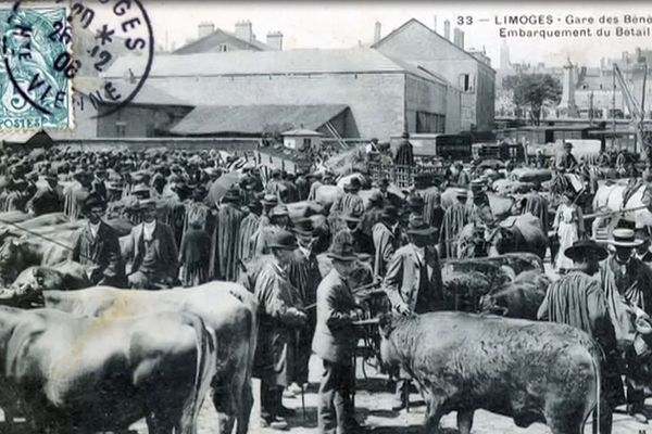 Embarquement de bétail en gare de Limoges Bénédictins