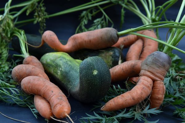 Les carottes et les courgettes n'ont pas toujours des courbes parfaites, mais elles gardent les qualités nutritionnelles et gustatives des légumes de leurs calibres. - Photo d'illustration.