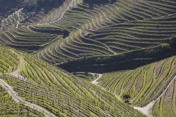 La vallée du Douro au Portugal est clasée au patrimoine mondial