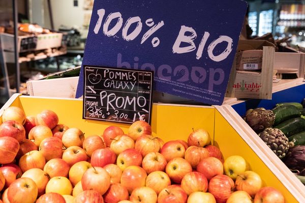 Selon l'Agence Bio, 7,5% des terres agricoles françaises sont consacrées à l'agriculture biologique.