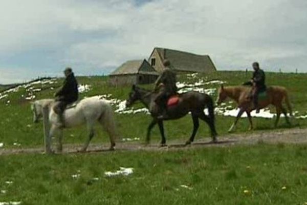 L'activité équestre en Aubrac en quête d'un nouveau souffle