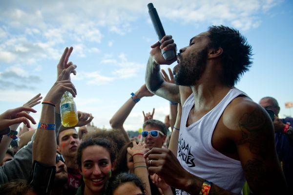 L'ex-chanteur de Skip the Use a brièvement reformé son premier groupe, Carving, l'été dernier à Solidays