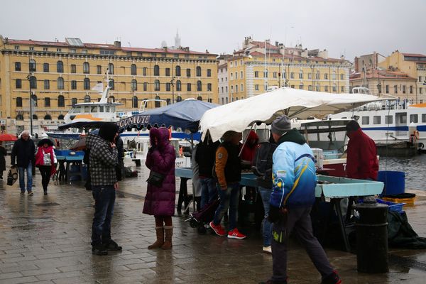 Le marché aux poissons sur le Vieux-Port de Marseille.