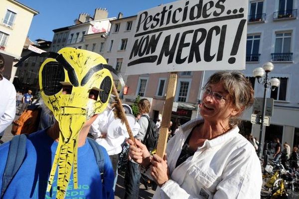 15 octobre 2011: des apiculteurs manifestent à Grenoble contre l'insecticide "Cruiser"