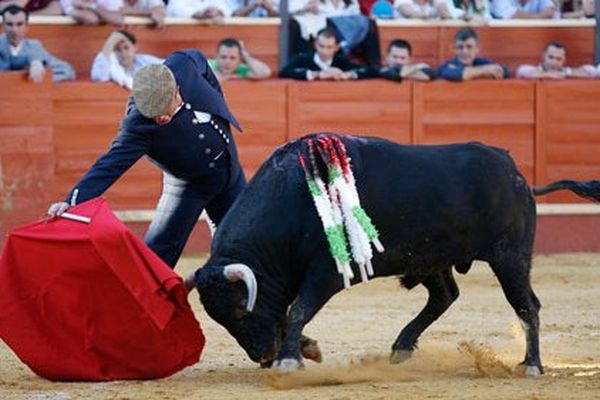 El Mangui continuait de toréer des festivals: ici, à Sanlúcar de Barrameda