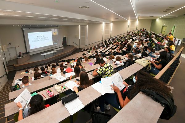 Des étudiants en faculté de médecine - archives.