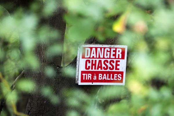 Un homme retrouvé mort, une balle dans la tête, dans les bois à Fleurie (Rhône)