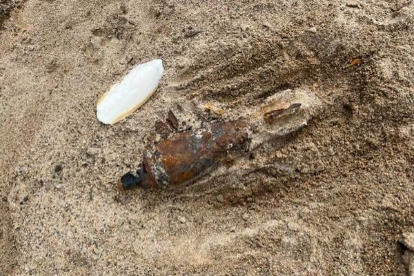 L'obus d'une trentaine de centimètres de long a été découvert par des enfants qui se baladaient sur la plage.