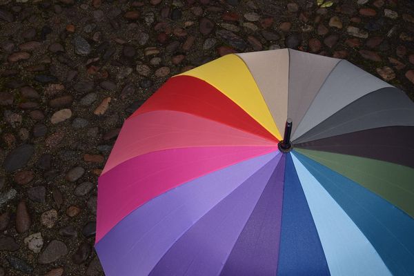 Les lunettes de soleil sont bien rangée, le parapluie est de sortie. La bonne nouvelle c'est que la douceur se maintient sur nos régions, on se console comme on peut ! 