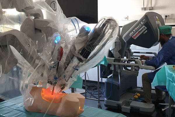 Les tous premiers chirurgiens robotiques vétérinaires internationaux se forment en France