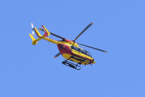 Les sapeurs-pompiers de l'Hérault ont envoyé l'hélicoptère Dragon 34 sur place.