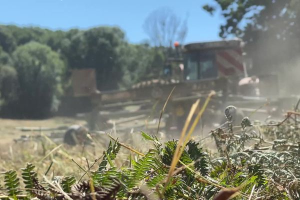 Un arrêté préfectoral limite l'utilisation des engins mécaniques en Creuse