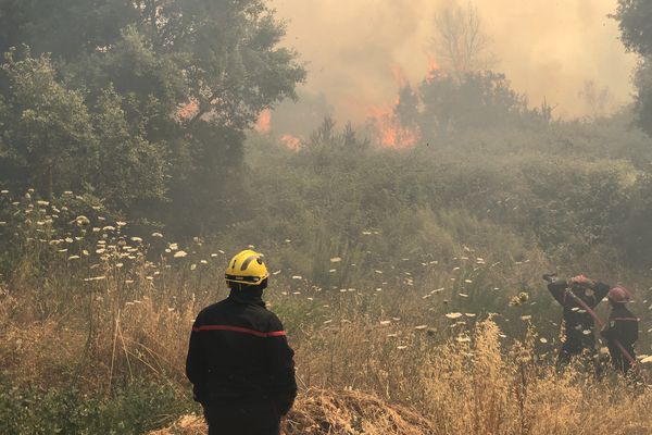 Ce vendredi 25 juin, un incendie s'est déclaré sur les hauteurs de la Confina 1, à Ajaccio. 