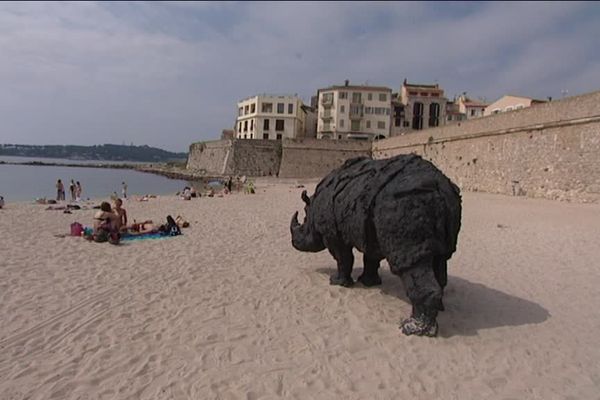 Le rhinocéros de Rivalta installé sur la plage de la Gravette d'Antibes