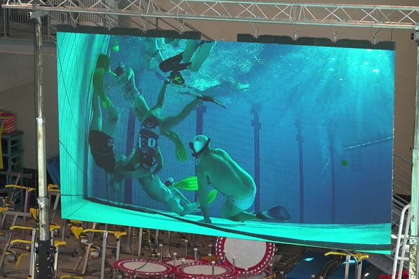 Une partie importante des actions se déroulant sous l'eau, les spectateurs peuvent soit être dans la piscine munis d'un masque et d'un tuba si le bassin le permet, soit regarder la partie subaquatique sur des écrans reliés à des caméras qui filment sous l'eau.