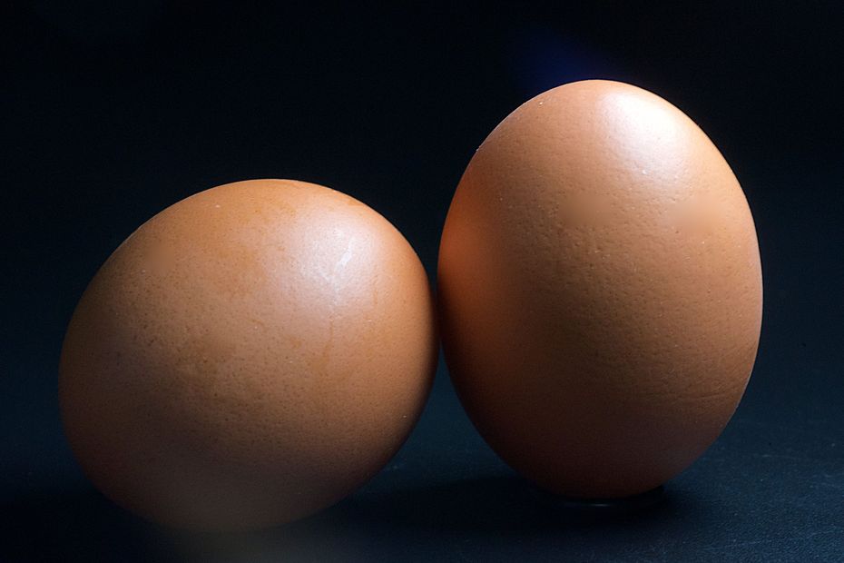 we tell you how and why the egg can be consumed “without moderation”