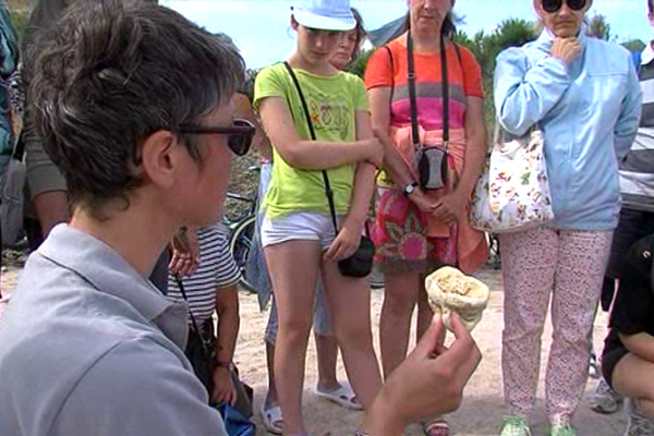 Les visites guidées du Cap romain sont organisées sur réservation jusqu'en septembre