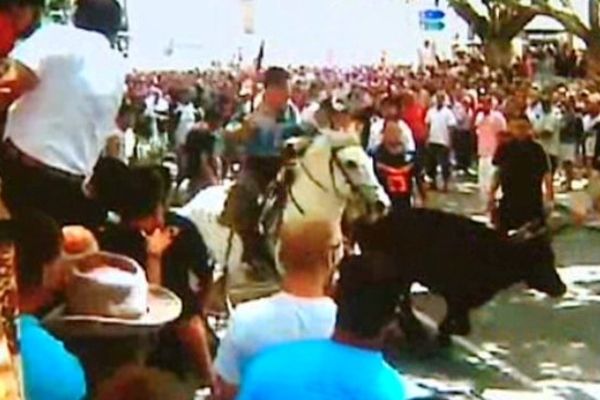 Hérault - lâcher de taureau lors d'une fête votive à Lunel - juillet 2012.