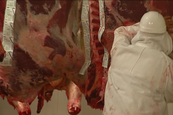 L'abattoir de Limoges dans le collimateur de la chambre régionale des comptes