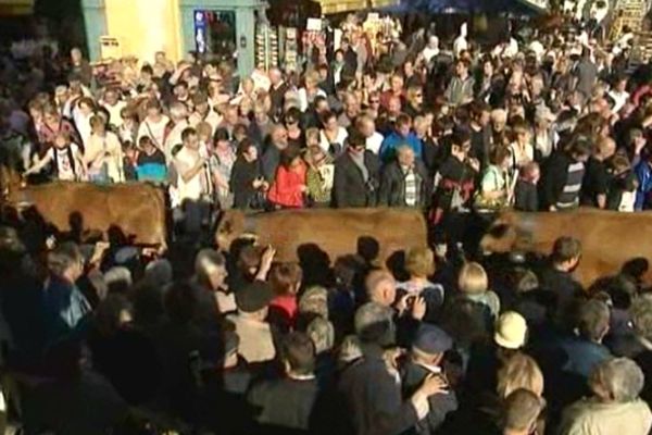 La traditionnelle descente des alpages et sa foule autour des vaches