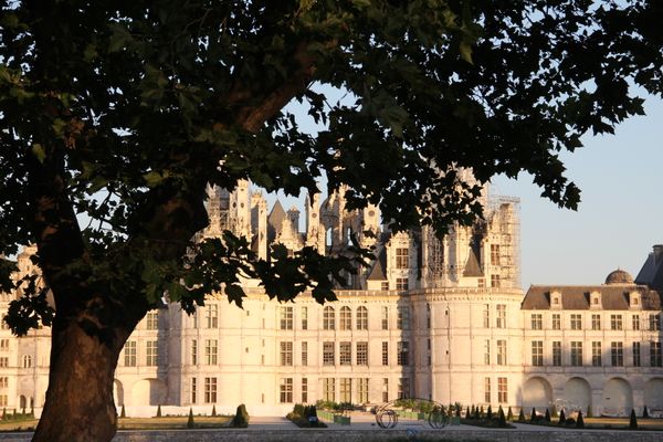 Le château de Chambord est cerné de tous côtés par sa forêt.