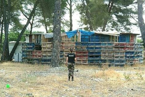 Le gallodrome : grand, couvert, décoré