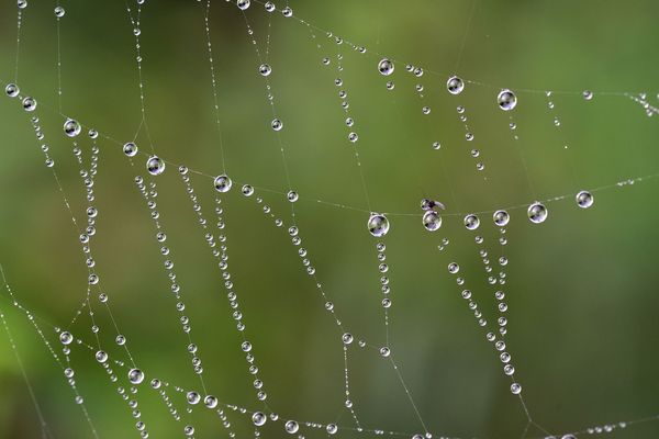 Fine pluie d'automne lundi et mardi. Mais Météo France annonce du soleil en fin de semaine.