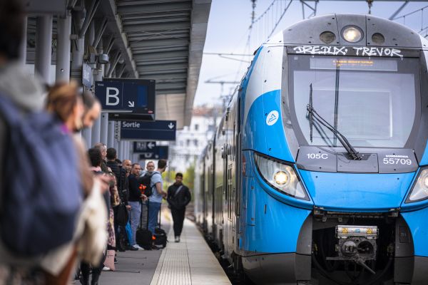 Illustration. Un homme d'une cinquantaine d'années a été mortellement percuté par un TER, ce mercredi 23 octobre, en gare de Bourgoin-Jallieu (Isère).