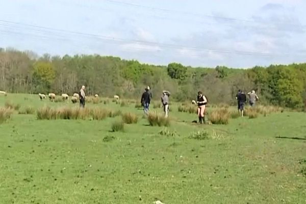 Le domaine des Douages est un sanctuaire pour les animaux de ferme maltraités