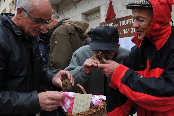 Le premier marché aux truffes 2014 de Lalbenque