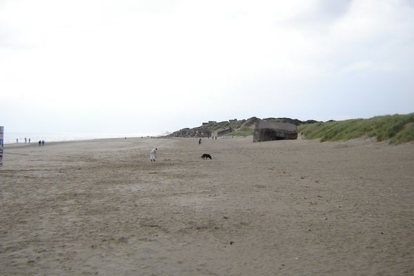 Le corps a été retrouvé dans les dunes derrière la plage de Leffrincoucke.