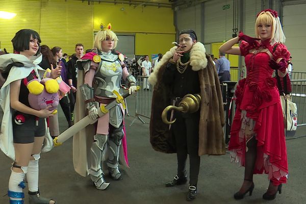 Le salon Pict'Asia se déroule au Parc des Expositions de Poitiers, du 17 au 18 février. Il attire de nombreux cosplayeurs.