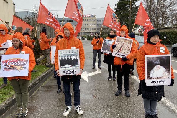 Les militants de l'association L214 devant le siège de LDC à Sablé-sur-Sarthe pour dénoncer les conditions d'élevage intensif des poulets vendus sous la marque le Gaulois.