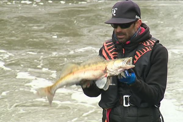 C'est parti pour l'ouverture de la pêche aux carnassiers